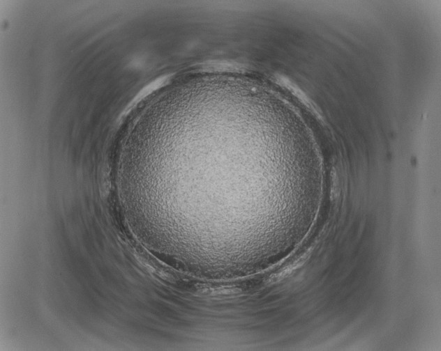 X0000081631213200701291313