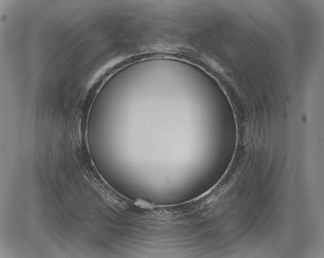X0000081631214200701291313