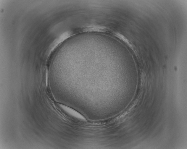 X0000081631219200701291313