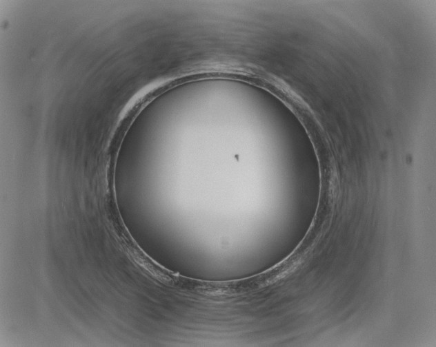 X0000081631222200701291313