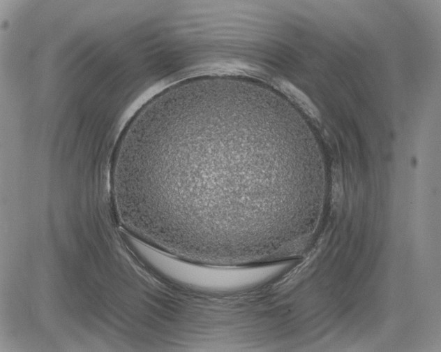 X0000081631226200701291313