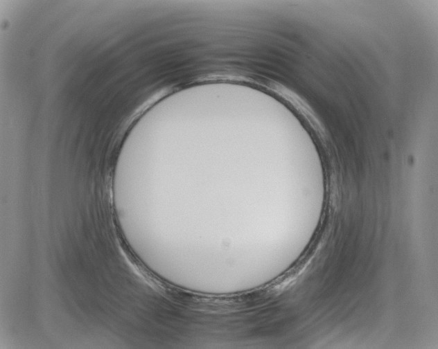 X0000081631241200701291313