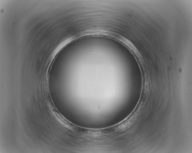 X0000081631242200701291313