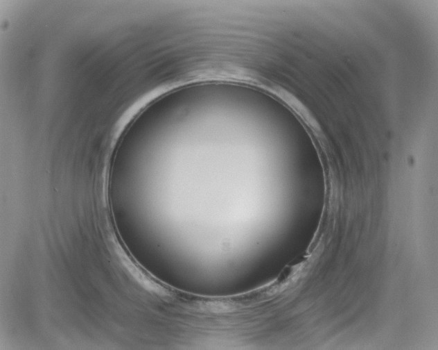 X0000081631246200701291313
