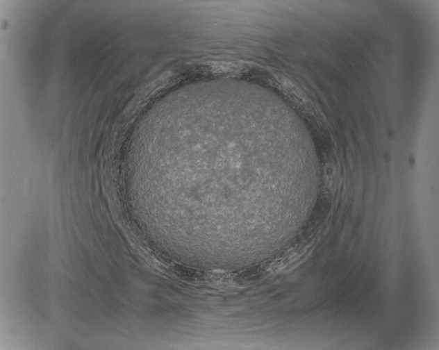 X0000081631249200701291313