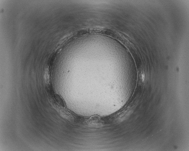 X0000081631252200701291313