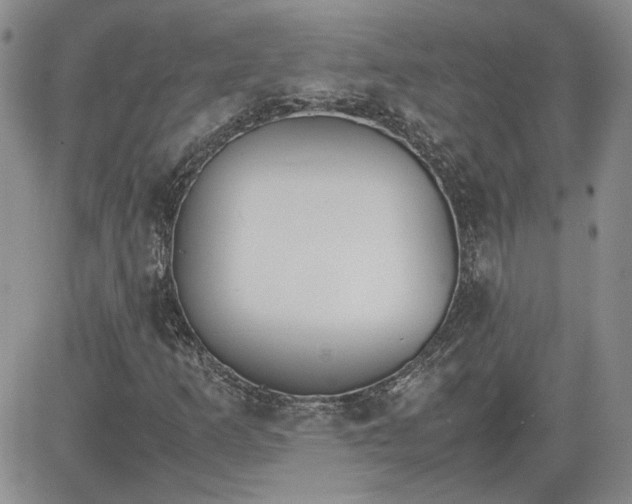 X0000081631253200701291313