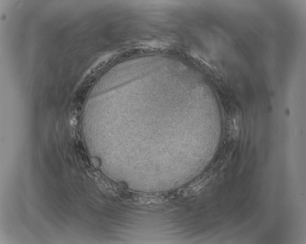 X0000081631254200701291313