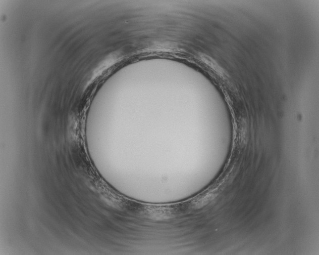 X0000081631258200701291313