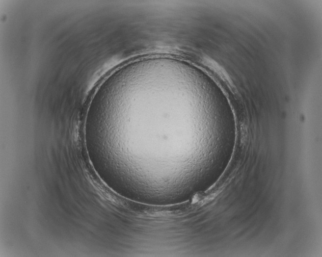 X0000081631260200701291313