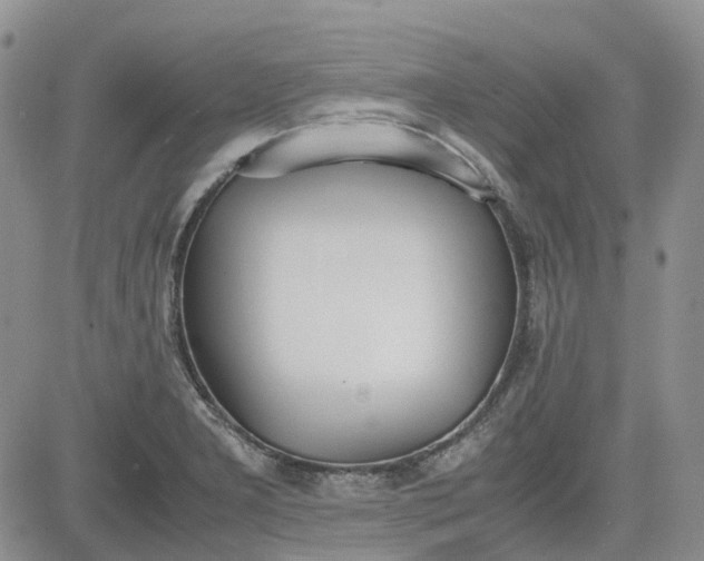 X0000081631277200701291312