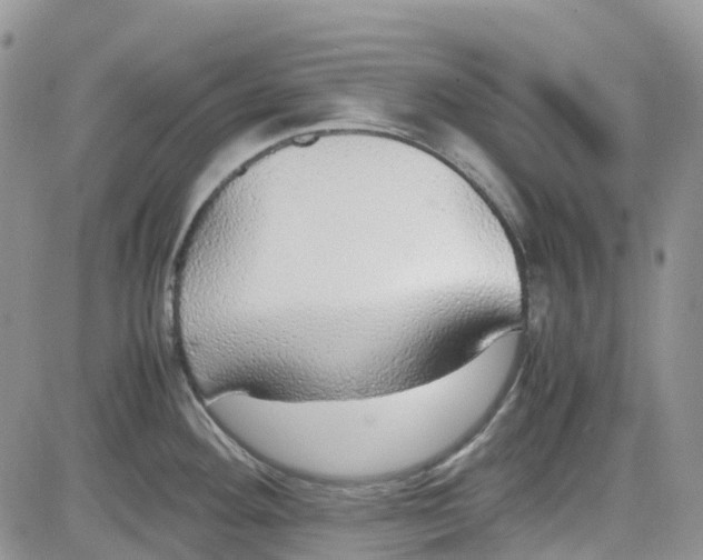 X0000081631292200701291312