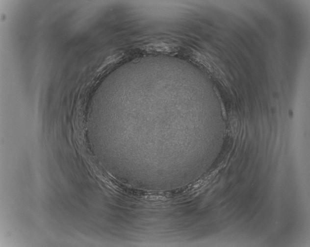 X0000081631297200701291311