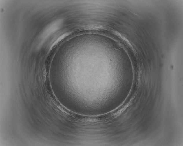 X0000081631306200701291311