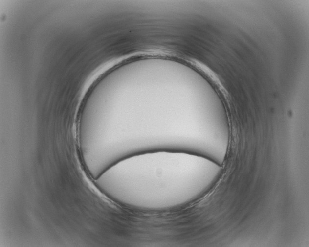 X0000081631335200701291312