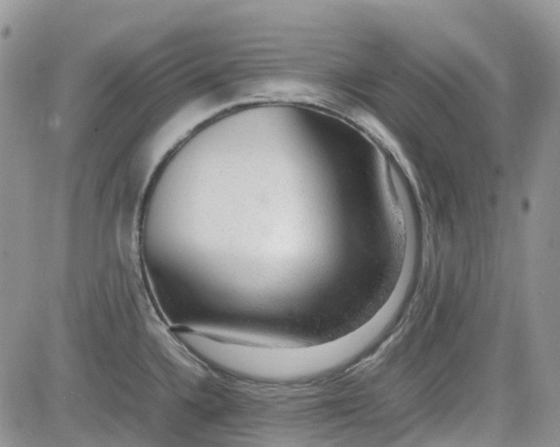 X0000081631336200701291312