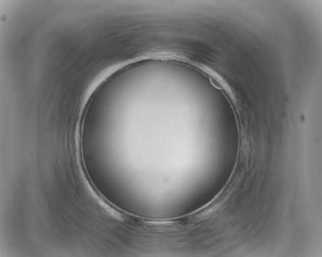 X0000081631343200701291312