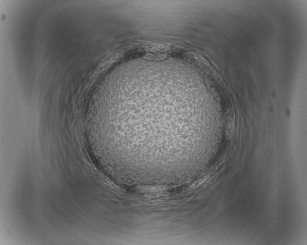 X0000081631345200701291311