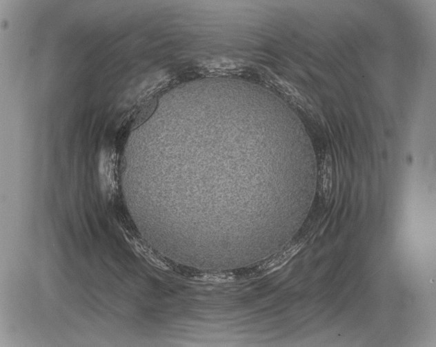 X0000081631346200701291311