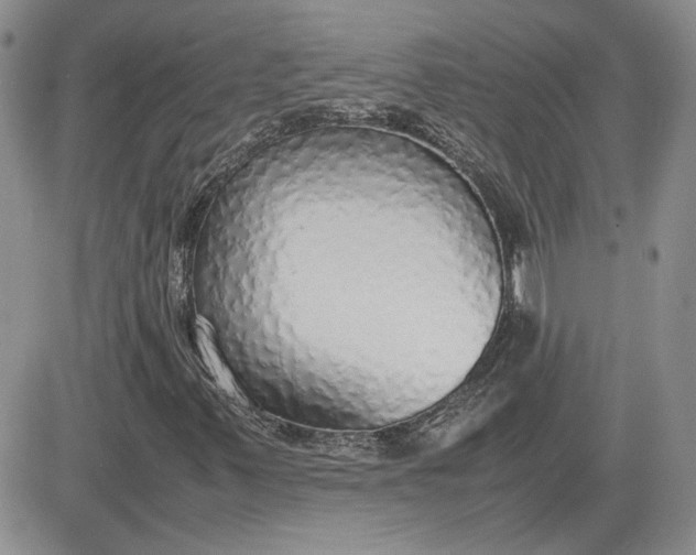 X0000081631347200701291311