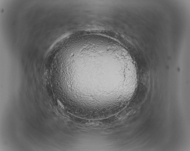 X0000081631351200701291311