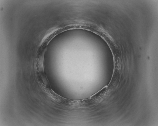 X0000081631352200701291311