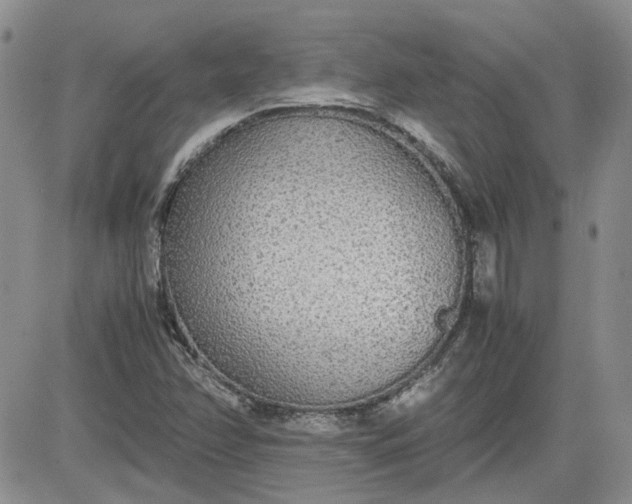 X0000081631358200701291311