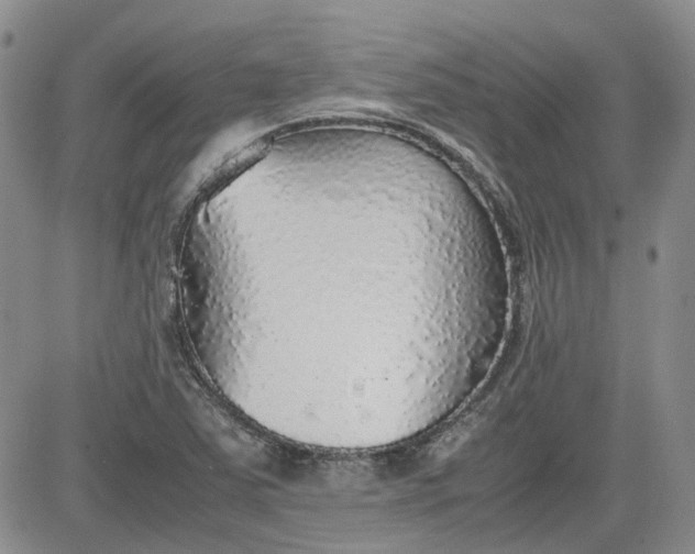X0000081631363200701291311