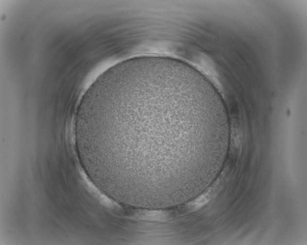 X0000081631382200701291311