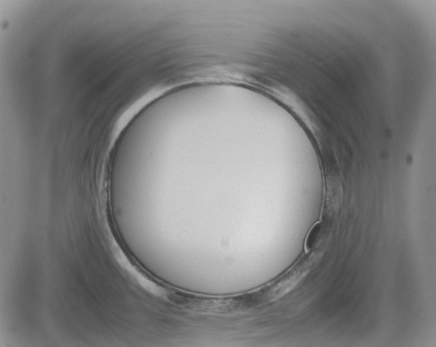 X0000081631387200701291310