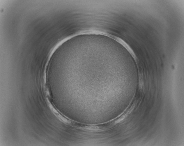 X0000081631388200701291310
