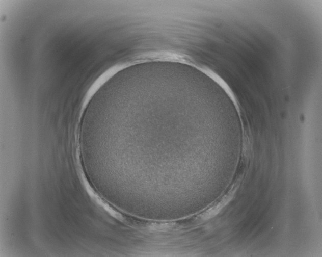 X0000081631389200701291310