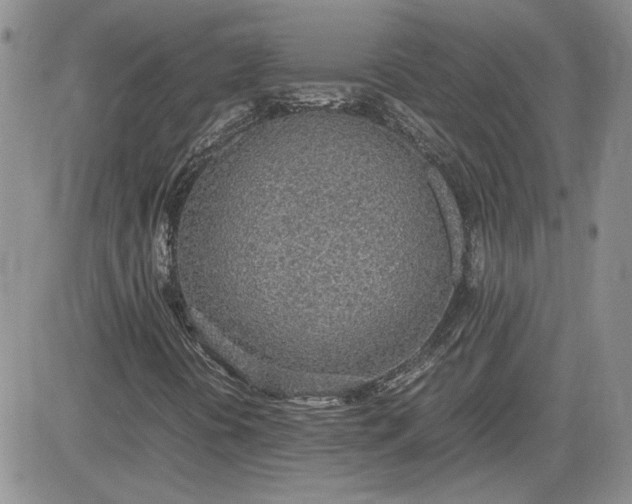 X0000081631394200701291310
