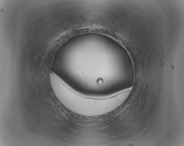 X0000081631398200701291310