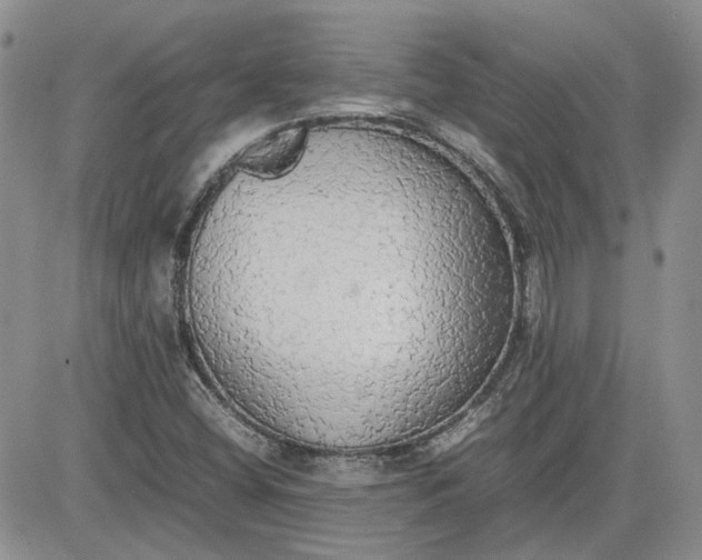 X0000081631404200701291310