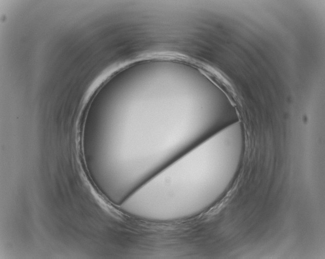 X0000081631430200701291310
