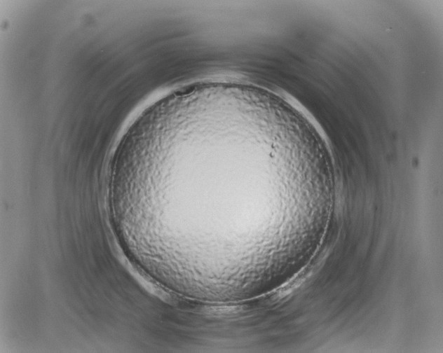 X0000081631437200701291310