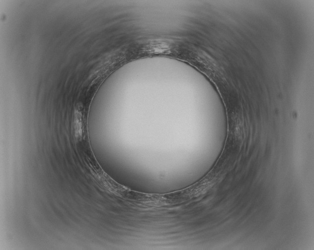 X0000081631442200701291310