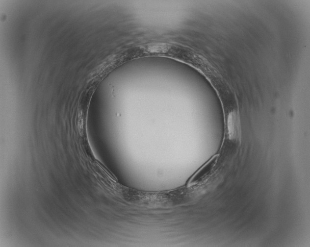 X0000081631443200701291310
