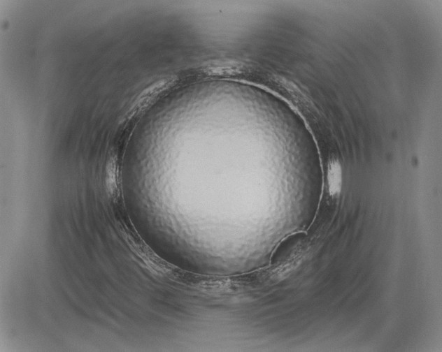 X0000081631444200701291310