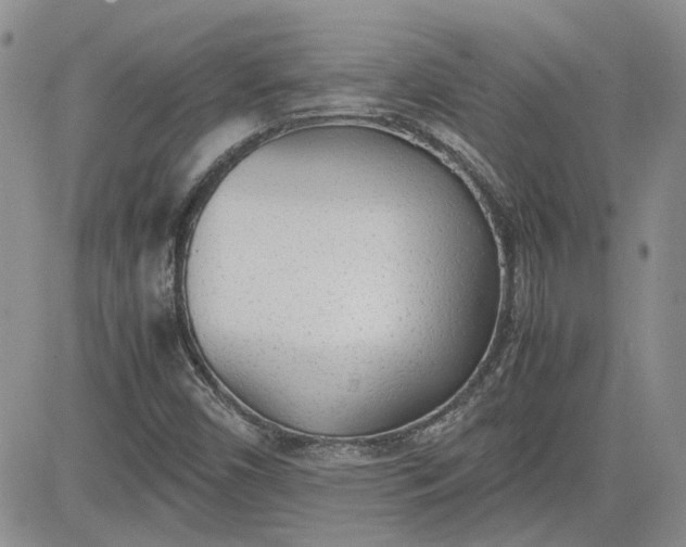X0000081631450200701291309