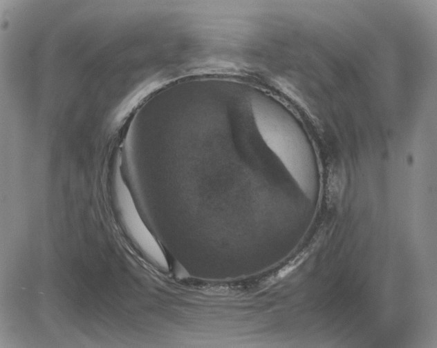 X0000081631455200701291309