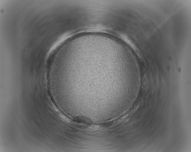 X0000081631456200701291309