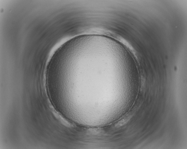 X0000081631480200701291309