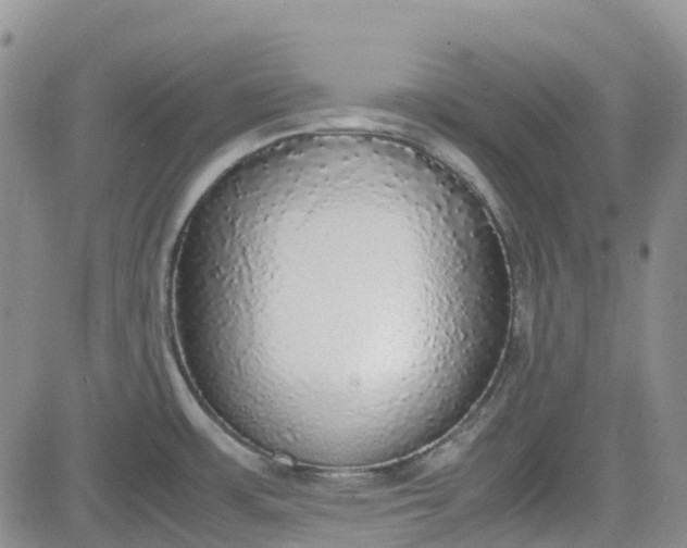 X0000081631483200701291309
