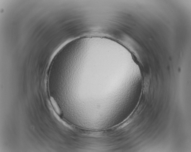 X0000081631484200701291309