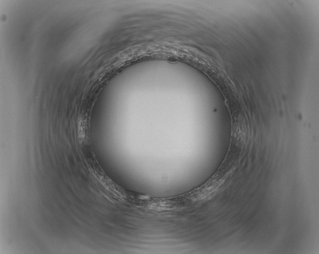 X0000081631490200701291308