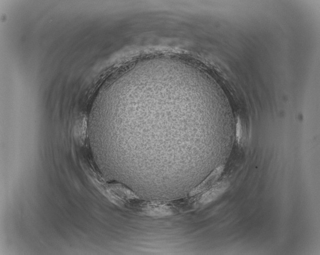X0000081631492200701291308