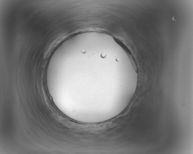 X0000081630001200702051311