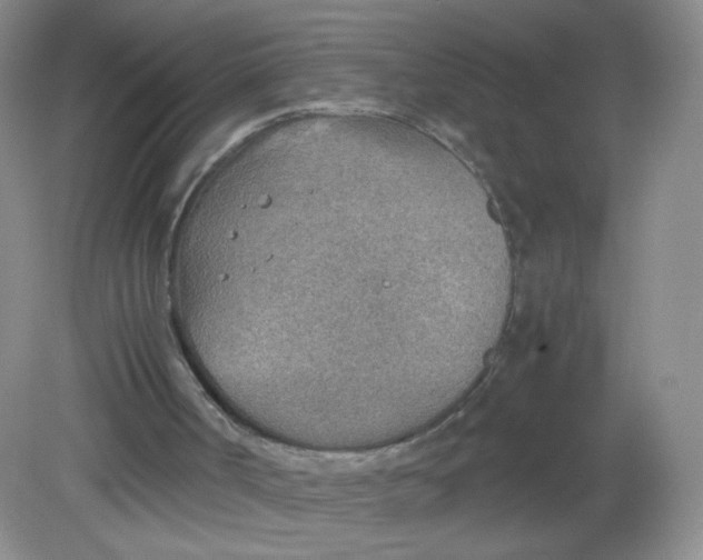 X0000081630002200702051311